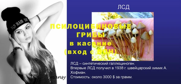 скорость Алексин