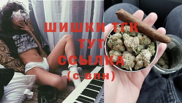крисы Абдулино