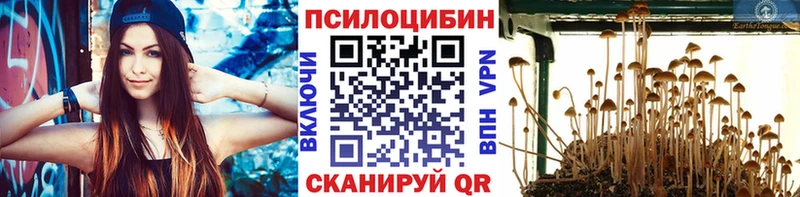 где купить наркотик  omg вход  Псилоцибиновые грибы мицелий  Ковров 